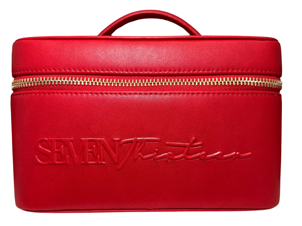 So Vain Vanity Bag